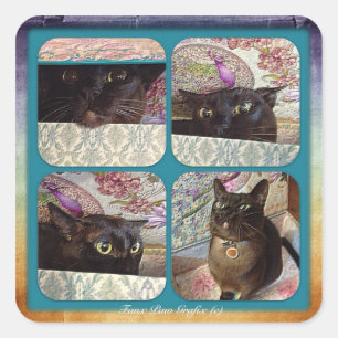 Adesivo Quadrado Quivi em uma caixa, série 1, quatro imagens