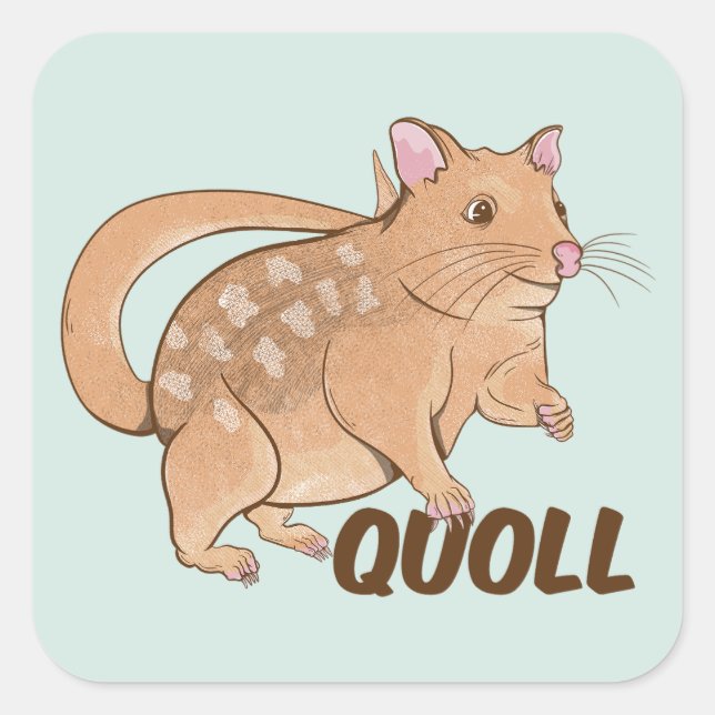 Adesivo Quadrado Quoll (Frente)