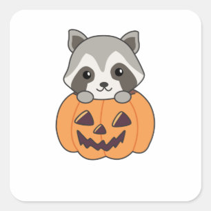 Adesivo Quadrado Raccin Em Pumpkin, Sweet Raccoon Feliz Halloween