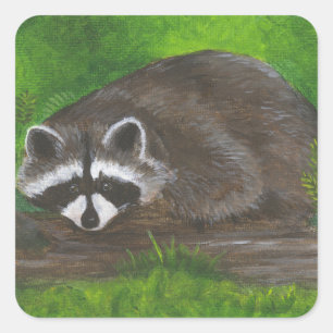 Adesivo Quadrado Raccoon