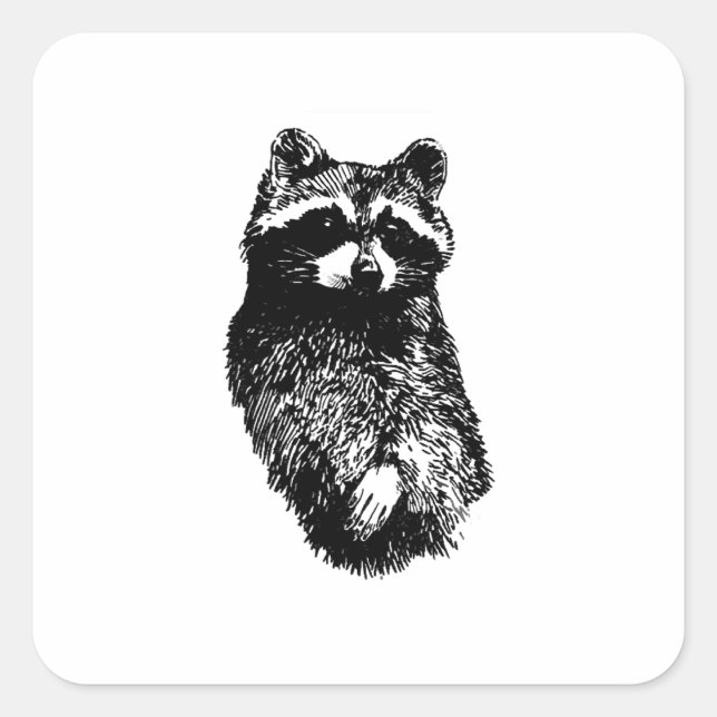 Adesivo Quadrado Raccoon (Frente)