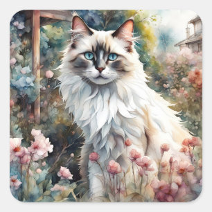 Adesivo Quadrado Ragdoll Cat no jardim inglês
