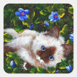Adesivo Quadrado Ragdoll Cat Stickers