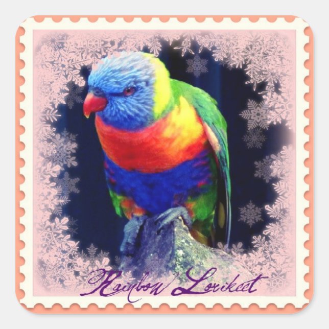 ADESIVO QUADRADO RAINBOW LORIKEET (Frente)
