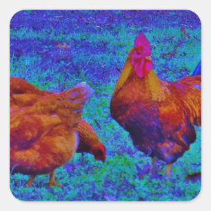 Adesivo Quadrado Rainbow Rooster & Hens, Blue Elétrico