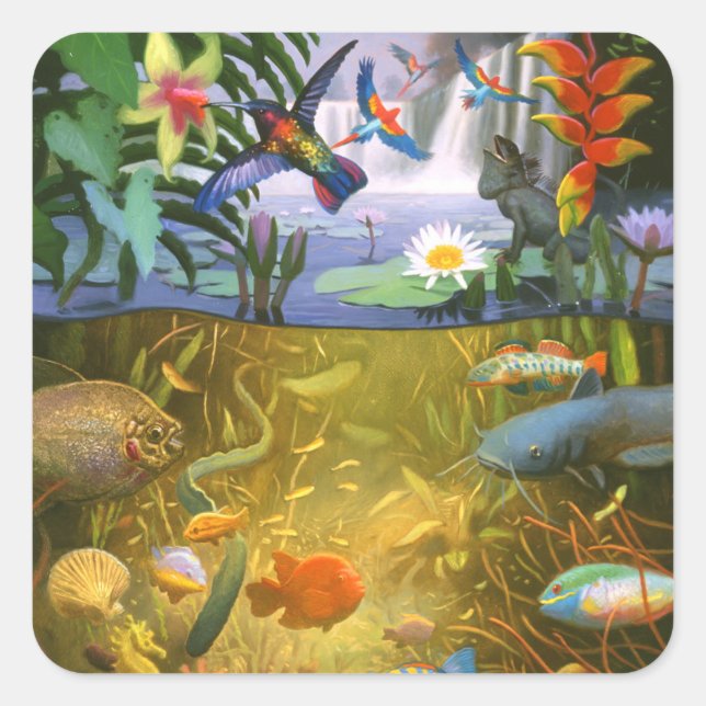 Adesivo Quadrado Rainforest Willife Sticker (Frente)