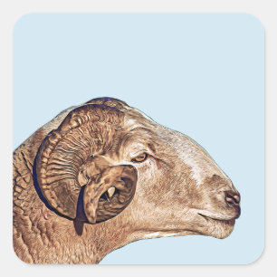 Adesivo Quadrado Ram Sheep Face Fazenda Natureza animal arte
