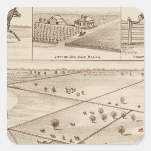 Adesivo Quadrado Rancho de Oakdale