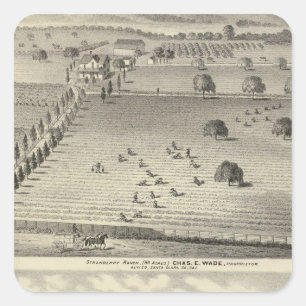 Adesivo Quadrado Rancho do passeio, residência de Weller