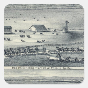 Adesivo Quadrado Ranchos do Cole