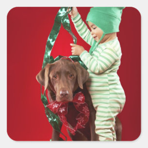 Adesivo Quadrado Rapaz pequeno que decora um cão