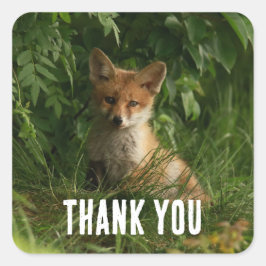Adesivo Quadrado Raposa-bebê-branca numa Floresta Verde Obrigado