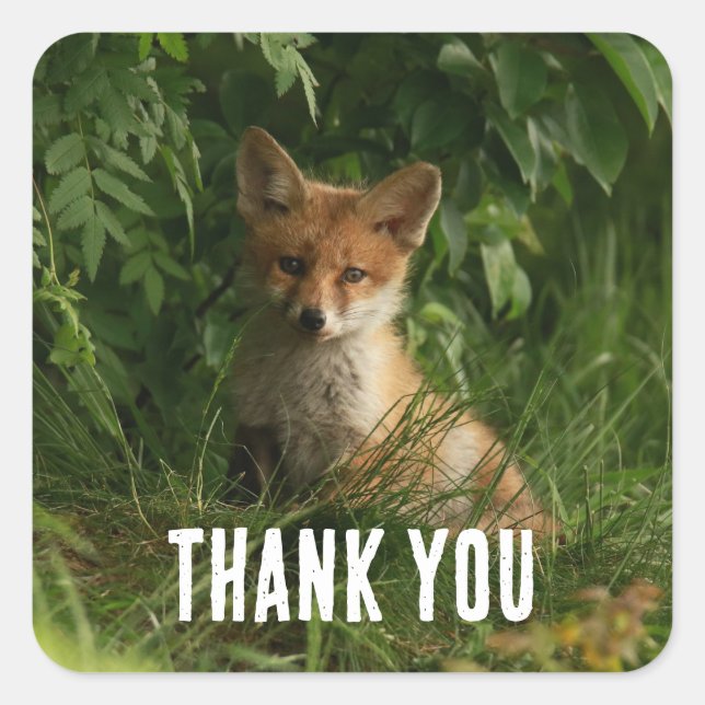 Adesivo Quadrado Raposa-bebê-branca numa Floresta Verde Obrigado (Frente)