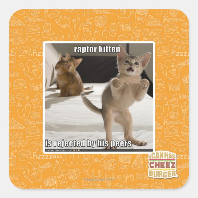 Adesivo Quadrado Raptor Kitten (Frente)