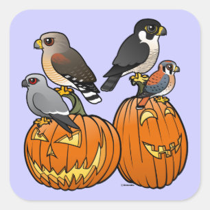 Adesivo Quadrado Raptores Birdorable em Pumpkins