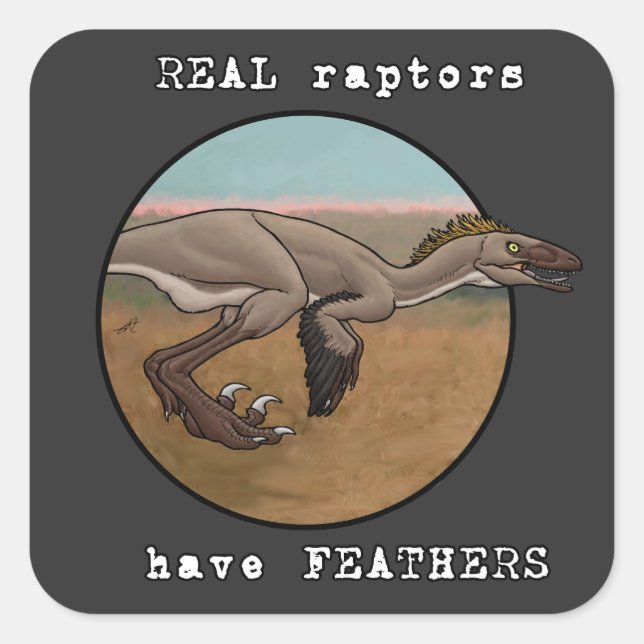 Adesivo Quadrado Raptores reais (Frente)