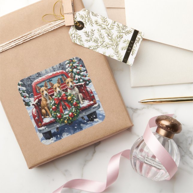 Adesivo Quadrado Rat Terrier Christmas Red Truck Holiday (Presentear)