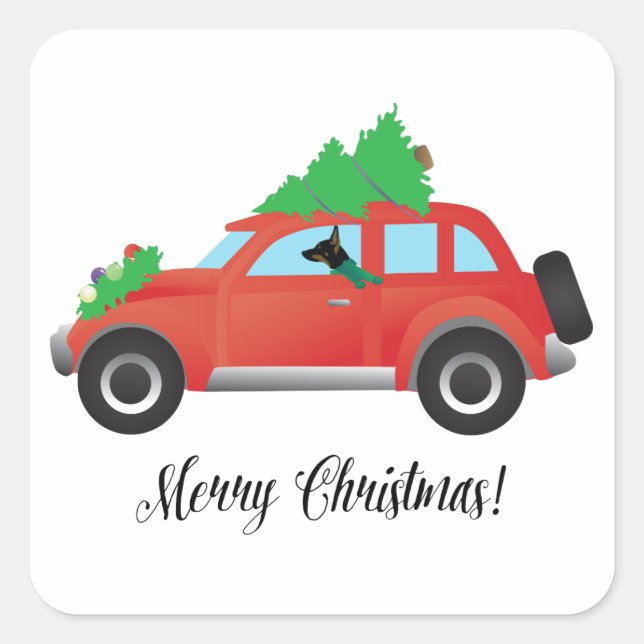 Adesivo Quadrado Rat Terrier Dog Dirigindo um carro de Natal (Frente)