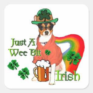 Adesivo Quadrado Rat Terrier St Patricks