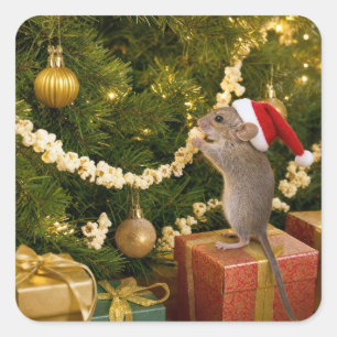 Adesivo Quadrado Rato de Natal Comendo Pipoca na Guirlanda da Árvor