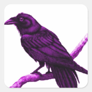 Adesivo Quadrado Raven in Purple Gifs by Sharles
