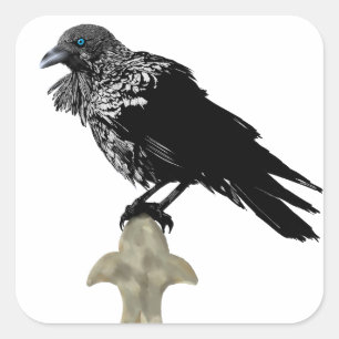 Adesivo Quadrado Raven Incluso