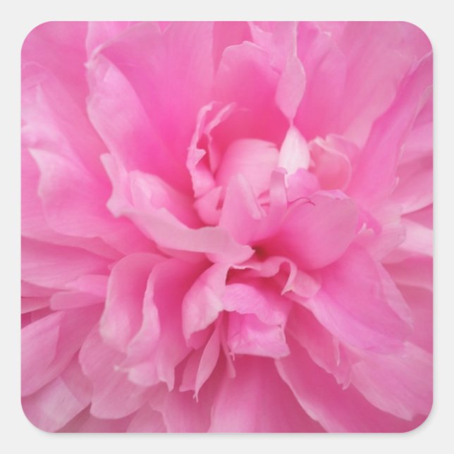 ADESIVO QUADRADO RECIPIENTE DE ENVELOPE FLORAL DE PINCO DE DESIGNER (Frente)