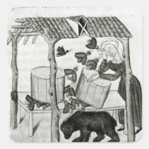 Adesivo Quadrado Recolhendo o mel