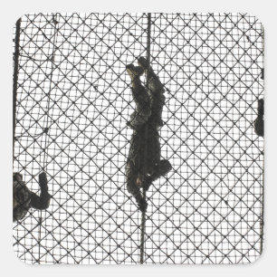 Adesivo Quadrado recruta que preenche um obstáculo