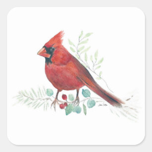 Adesivo Quadrado Red Cardinal Art