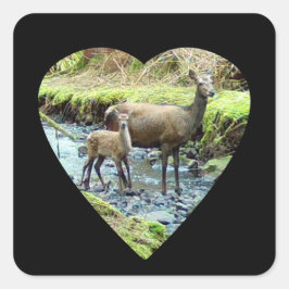 Adesivo Quadrado Red Deer Doe e Baby Deer