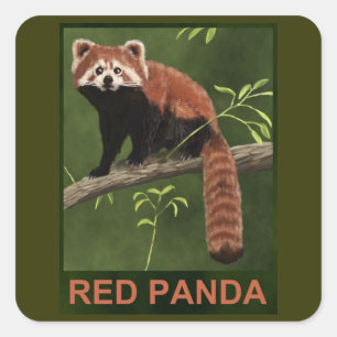 Adesivo Quadrado Red Panda