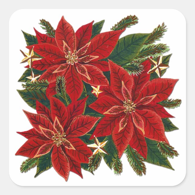 Adesivo Quadrado Red Poinsettia Sticker (Frente)