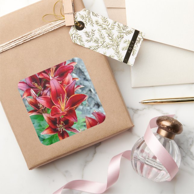 Adesivo Quadrado Red Stargazer Lily Flower, Fotografia canadense (Presentear)