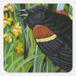 Adesivo Quadrado Red Wing Blackbird