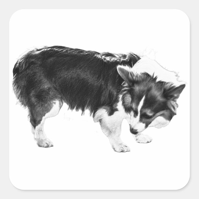 Adesivo Quadrado Rede Folha-Sombra (Frente)