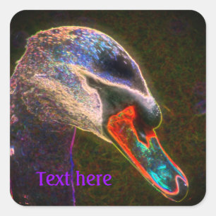 Adesivo Quadrado Régal Swan Abstrato Art Nature Personalizado