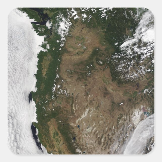 Adesivo Quadrado Região Noroeste do Pacífico dos Estados Unidos (Frente)