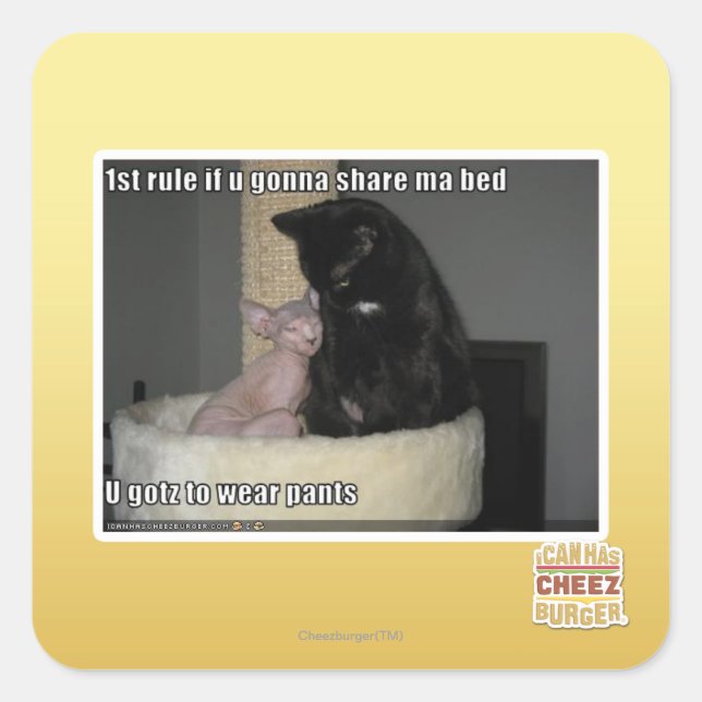 Adesivo Quadrado Regra de 1rua se você vai compartilhar a base do m (Frente)