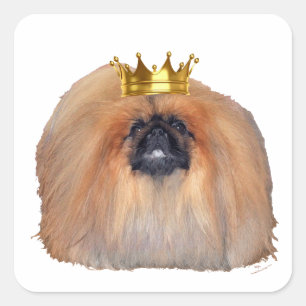 Adesivo Quadrado Rei de Pekingese (personalize se você deseja!)