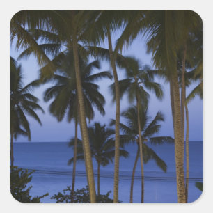 Adesivo Quadrado República Dominicana, Península de Samana, Las