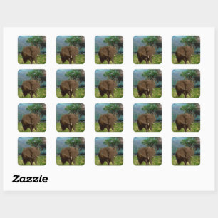 Adesivo Quadrado "Resistência Serene: O Revestimento do Elefante Bu