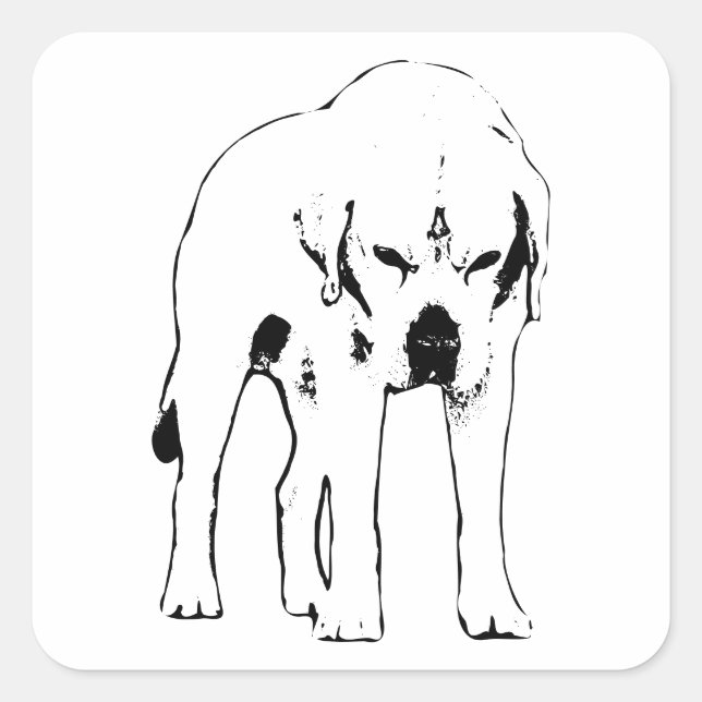 Adesivo Quadrado Respeite o Raio (Frente)