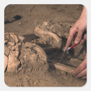 Adesivo Quadrado Restos humanos