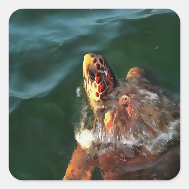 Adesivo Quadrado Retrato Artístico De Tartaruga-Do-Mar (Frente)