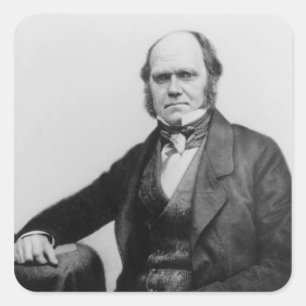 Adesivo Quadrado Retrato de Charles Darwin, 1854