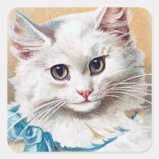 Adesivo Quadrado Retrato de Gato Branco
