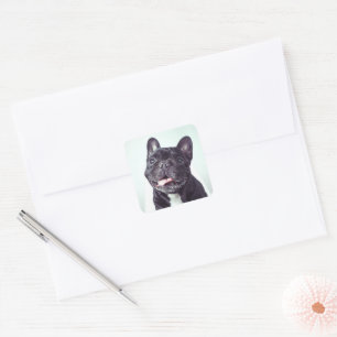 Adesivo Quadrado Retrato de um Bulldog Francês Feliz