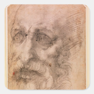 Adesivo Quadrado Retrato de um Homem Manguejo