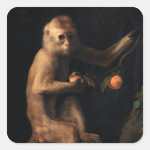 Adesivo Quadrado Retrato de um macaco